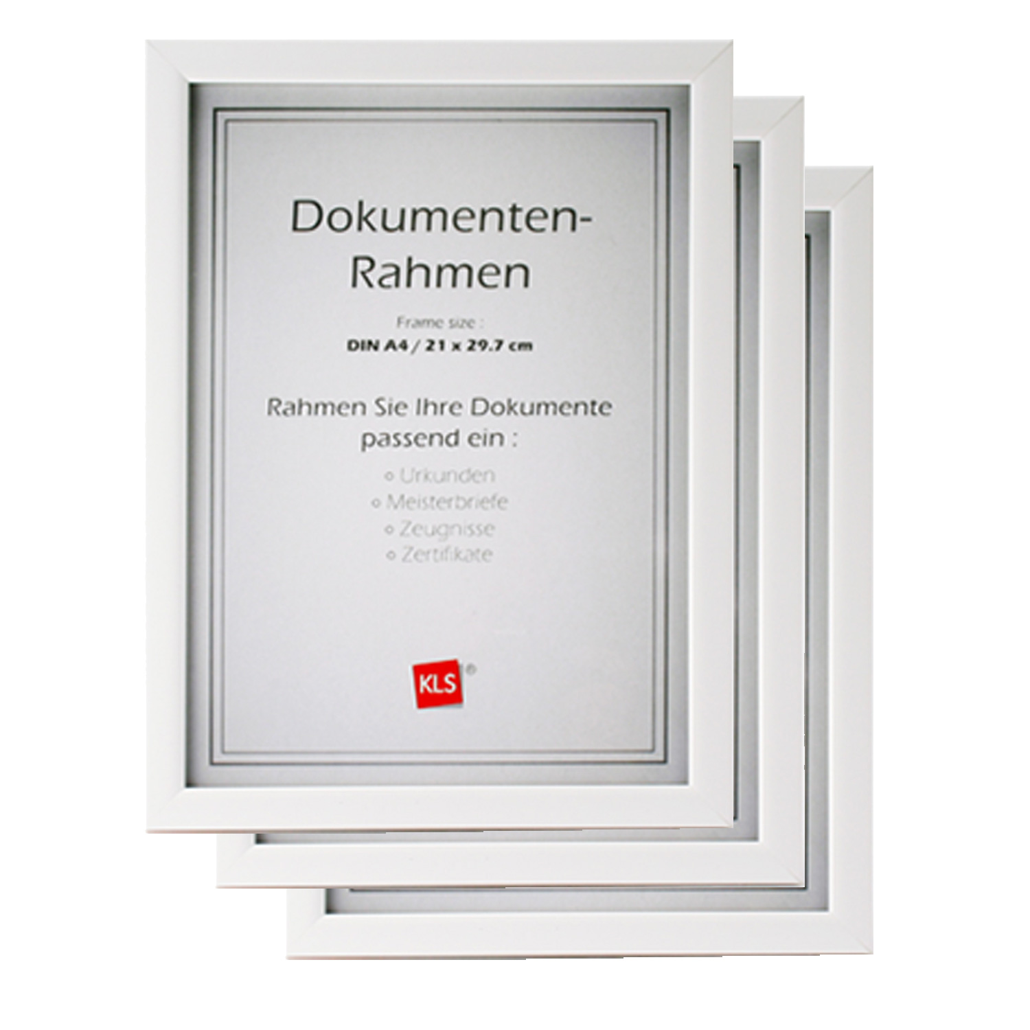 Dokument Bilderrahmen in Schwarz Silber Weiß 21x29,7 DIN A4 Urkunde Foto Rahmen